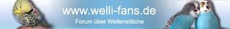 Welli-Fans