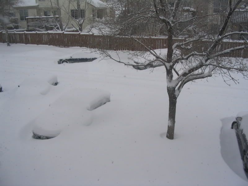 snow031.jpg