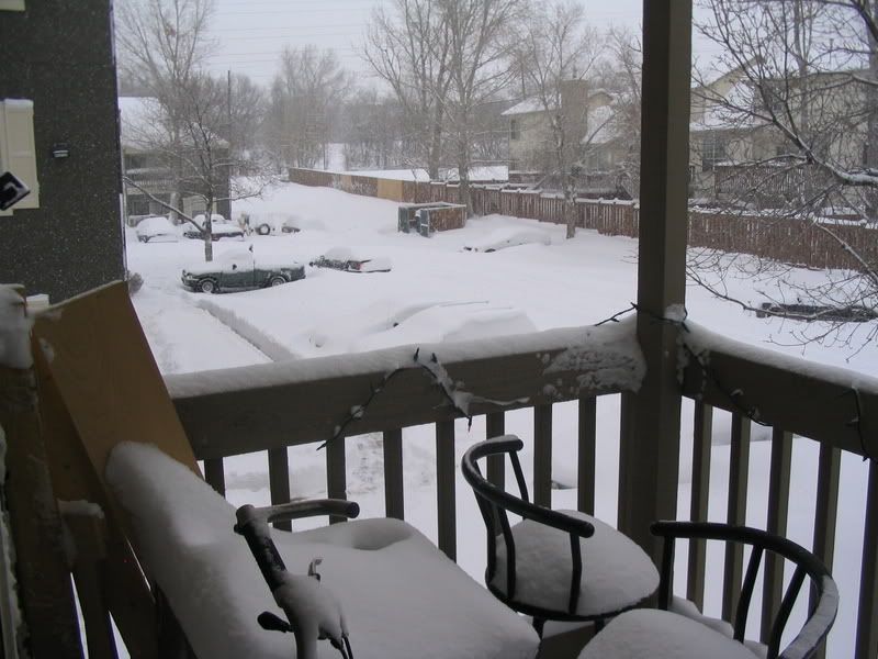 snow033.jpg