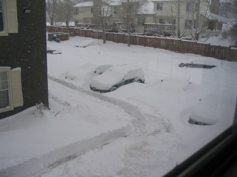 snow041.jpg