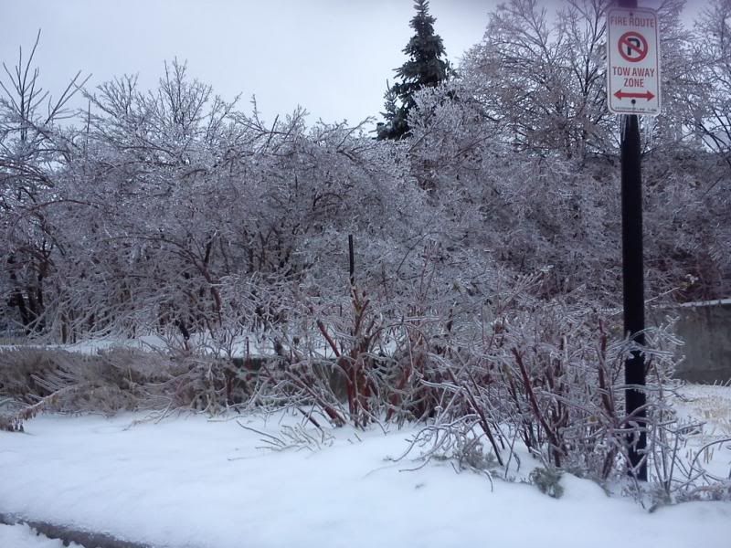 photo IMG_20131222_094023.jpg