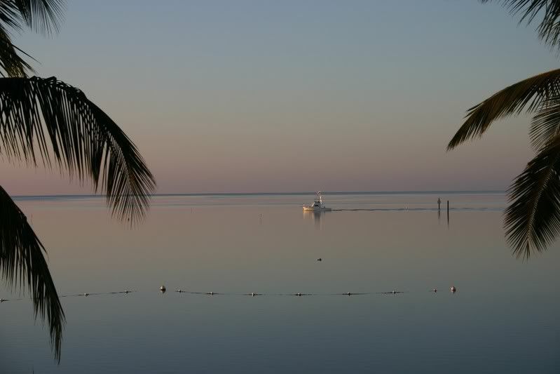 k_morninginthekeys.jpg