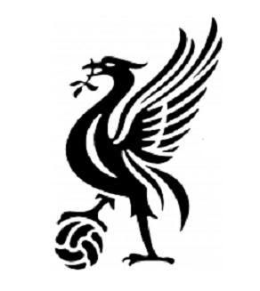 liverpool design liver bird designs
