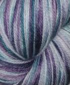 "Persian Sheild" on 100% Superwash Merino sock yarn