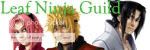 The leaf ninja guild banner